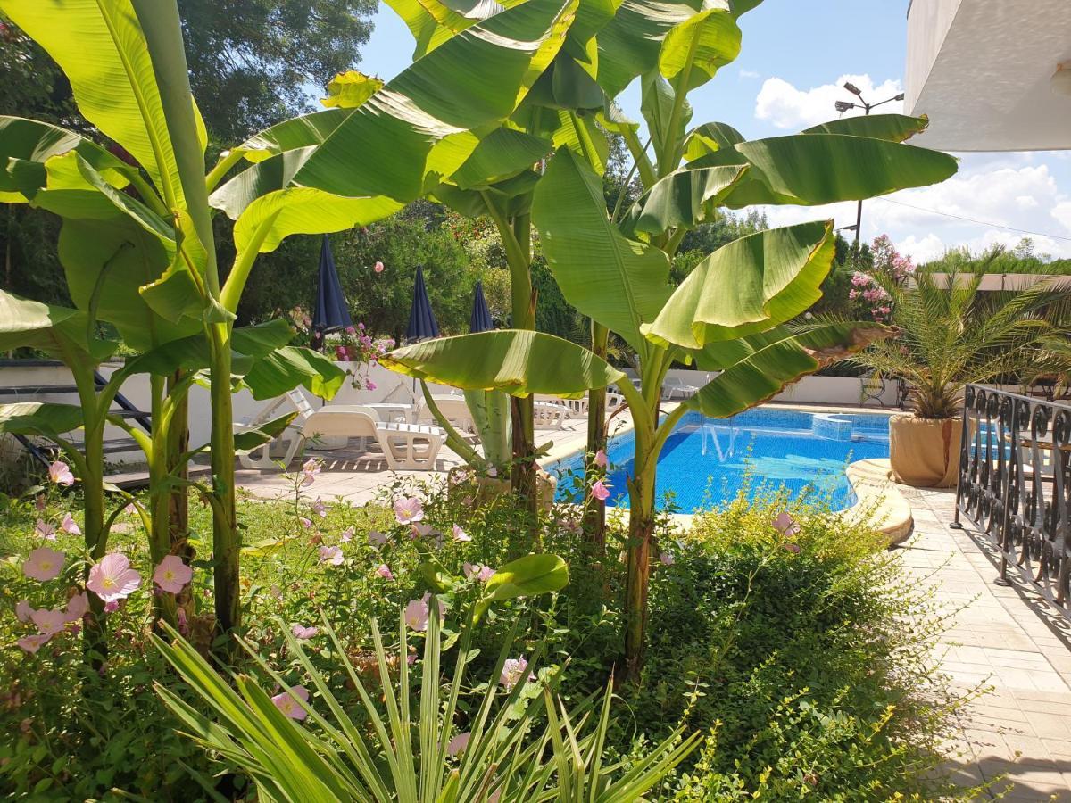Hotel Feniks Lozenec Kültér fotó