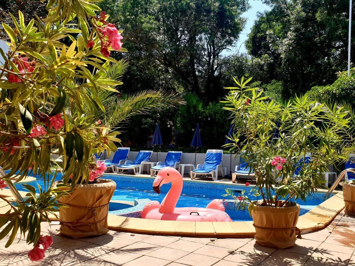 Hotel Feniks Lozenec Kültér fotó